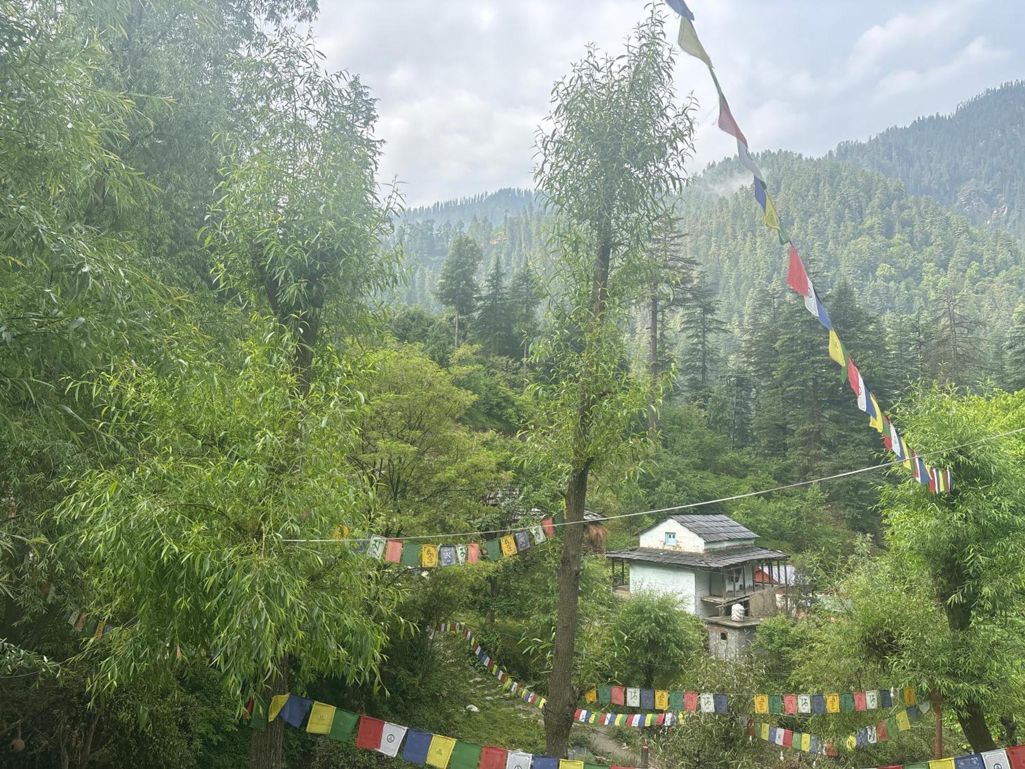 The Cozy Cabin, Jibhi Banjar Экстерьер фото