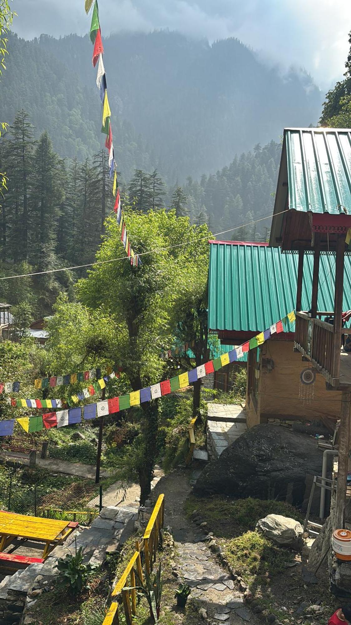 The Cozy Cabin, Jibhi Banjar Экстерьер фото